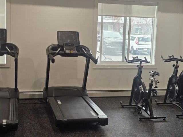 Apartment for rent in Cornerstone, Calgary