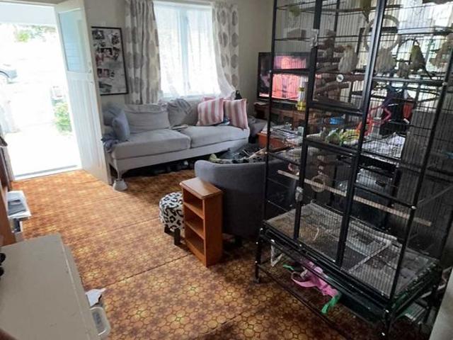 House for rent in Helensville, Rodney