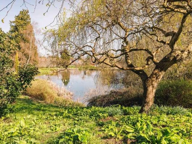Flat for sale in Ross-on-wye