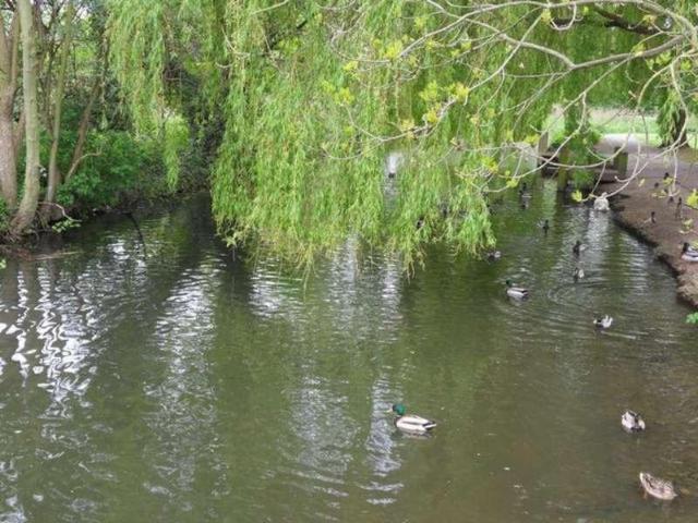 Flat for sale in Epping, Essex