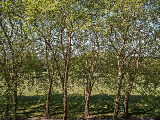 Flat for sale in London Borough of Lewisham, Lower Sydenham