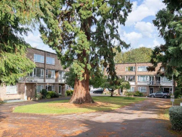 Apartment for rent in Ewens Farm, Golden Valley