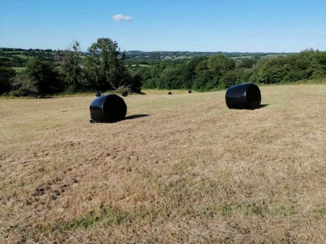 House for sale in Porthyrhyd, Wales