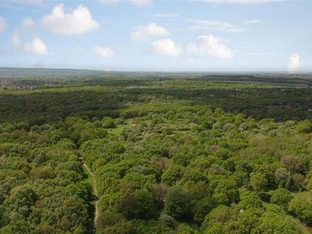 House for sale in The Wells, Surrey