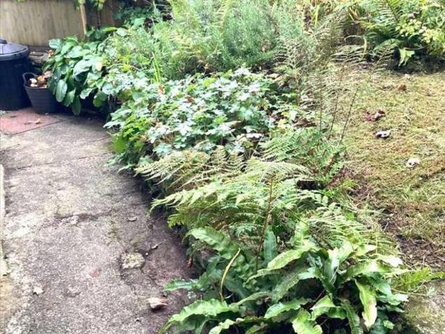 House for sale in Mount Ambrose, Cornwall
