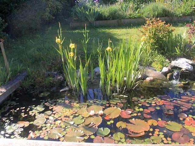 House for sale in Totland, Isle Of Wight