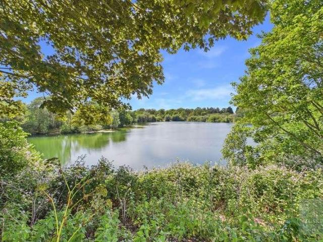 House for sale in Burgh St Peter, Norfolk