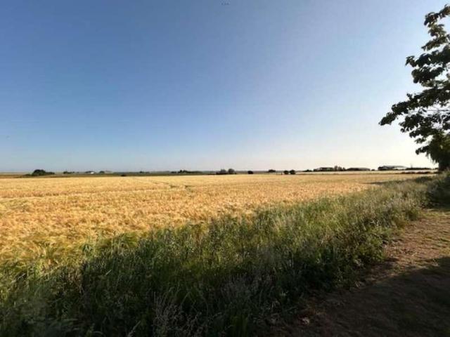 Property for sale in Maldon, Essex