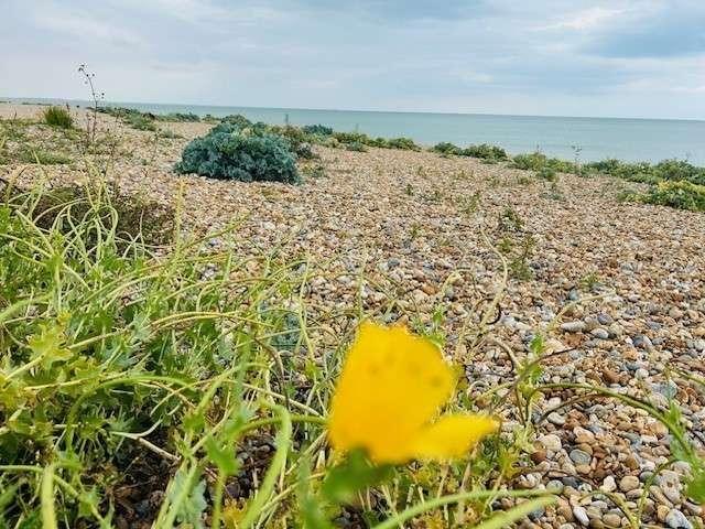 Property for sale in Heathlands, East Sussex