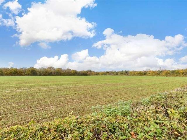 Property for sale in The Bridge, Kent