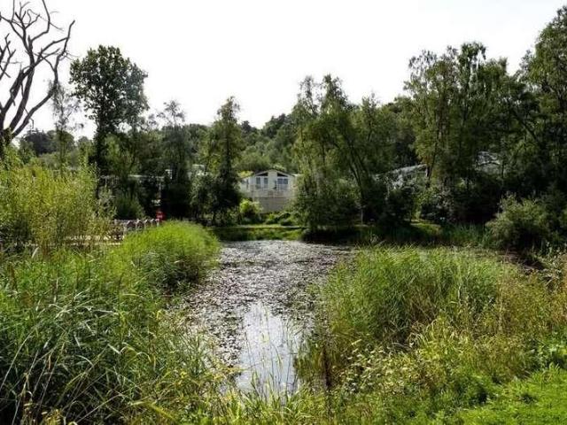 Property for sale in Hollington, Guestling Green