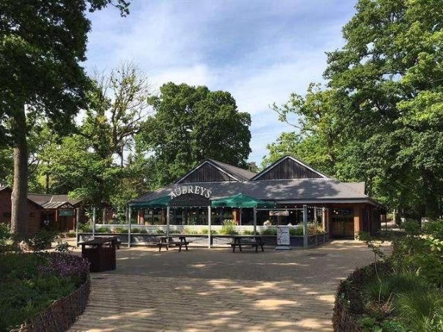 Property for sale in Newgrounds, New Forest