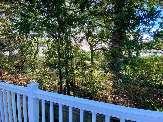 Property for sale in East Dorset