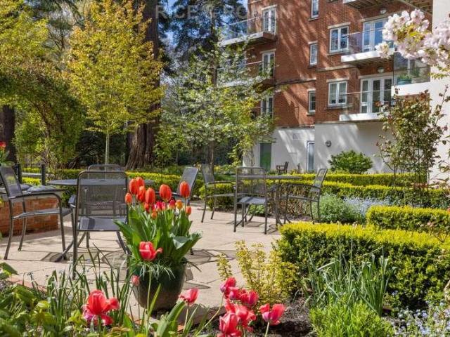 Property for sale in Sunninghill and Ascot, Sunningdale