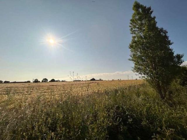Property for sale in Maldon, Essex
