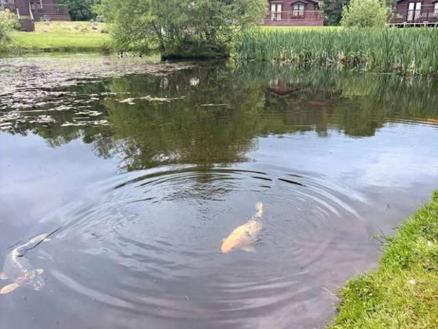 Property for sale in Gartmore, Scotland