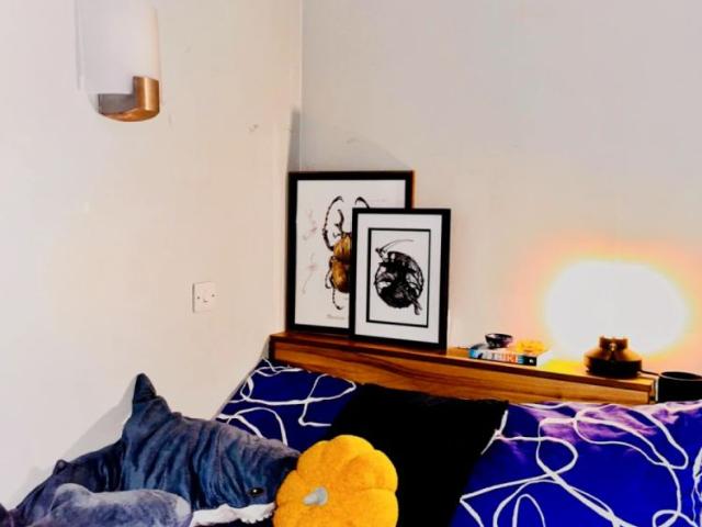 Room for rent in Hatfield, Fretherne