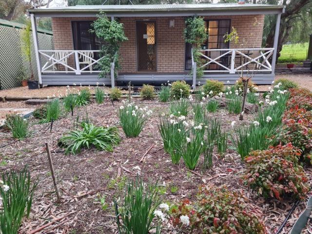 Apartment for rent in Lyndoch, The Barossa Council