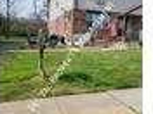 House for rent in Delco, Pennsylvania