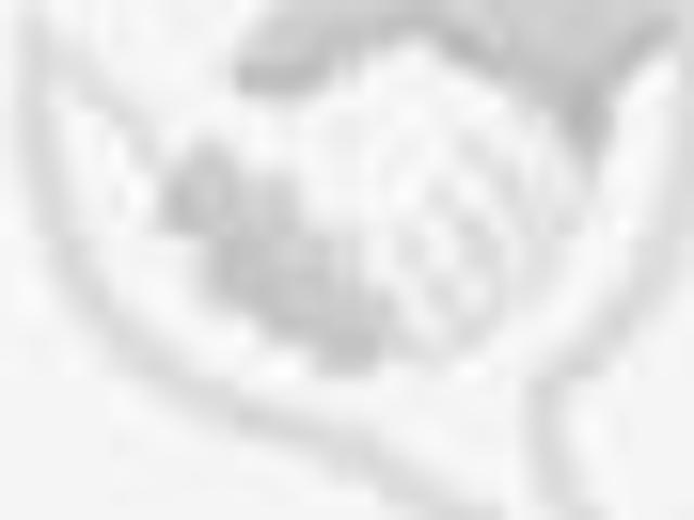 House for rent in Aliquippa, Pennsylvania