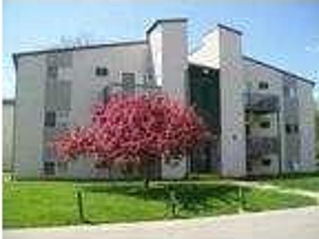 House for rent in Ionia, Iowa