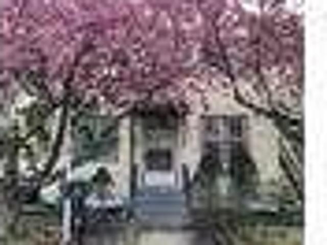 House for rent in Pine Hill, Wilcox County