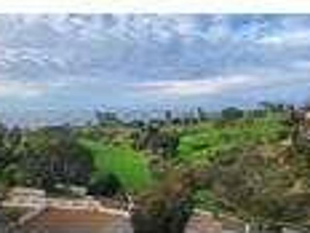 House for rent in La Jolla, San Diego