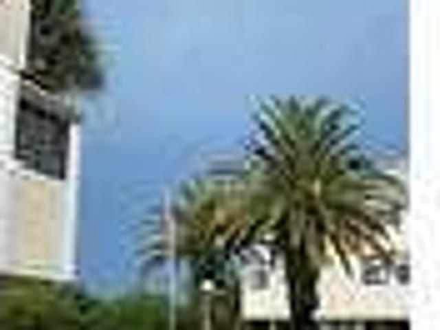 House for rent in Tarpon Springs, Florida
