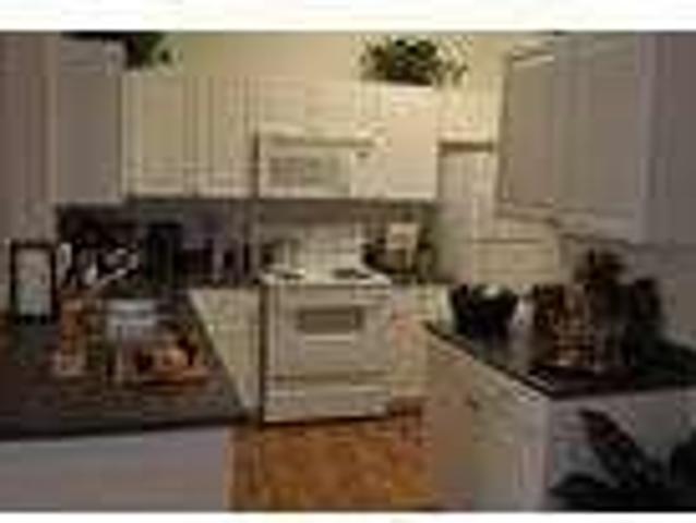 House for rent in Thornton