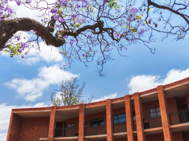 Apartment for rent in Waterkloof, Gauteng