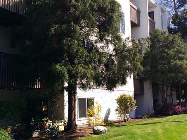 Apartment for rent in Victoria, British Columbia