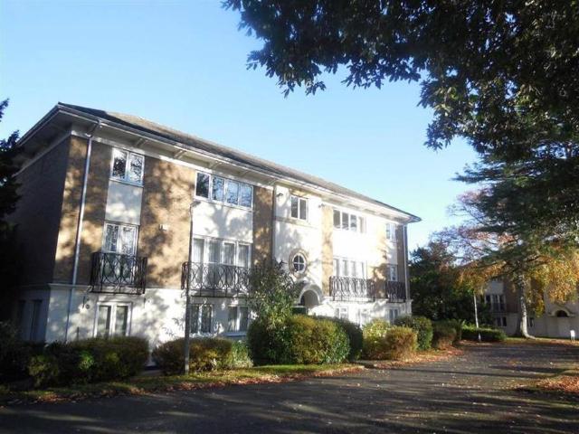 House for rent in Darlington