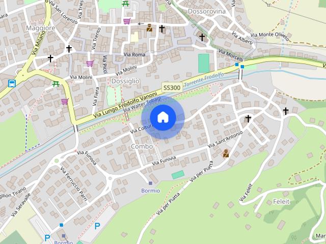 Appartamento in affitto a Comunità montana Alta Valtellina, Bormio
