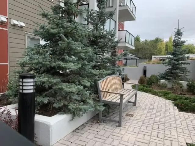 Apartment for rent in Northwest, Alberta