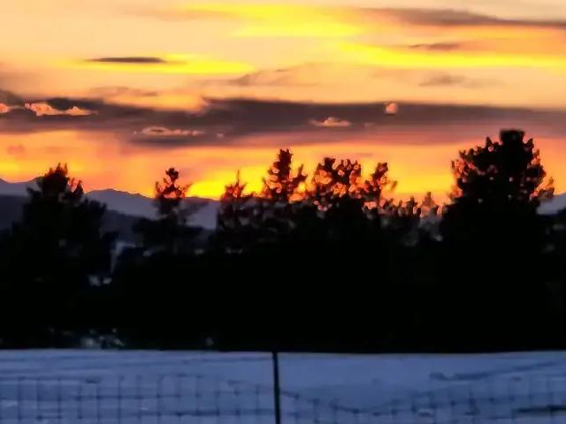 Apartment for rent in Northwest, Alberta