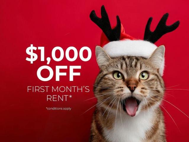 Apartment for rent in Cranbrook, British Columbia