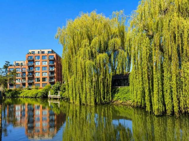 Apartment for sale in East Bank, Norfolk