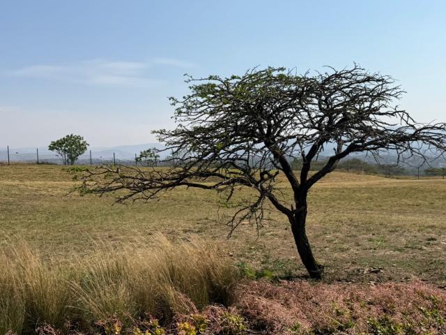 Apartment for sale in Umgungundlovu, Kwazulu-natal