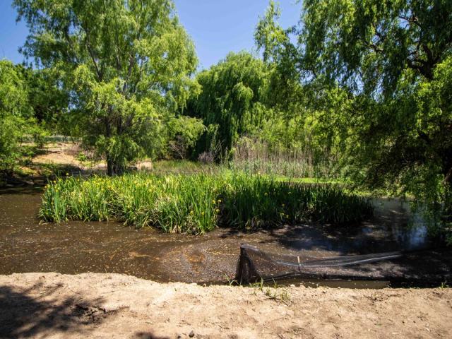 Apartment for sale in Randburg, Gauteng