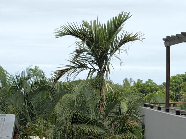 Apartment for sale in Princess Grant, Kwazulu-natal
