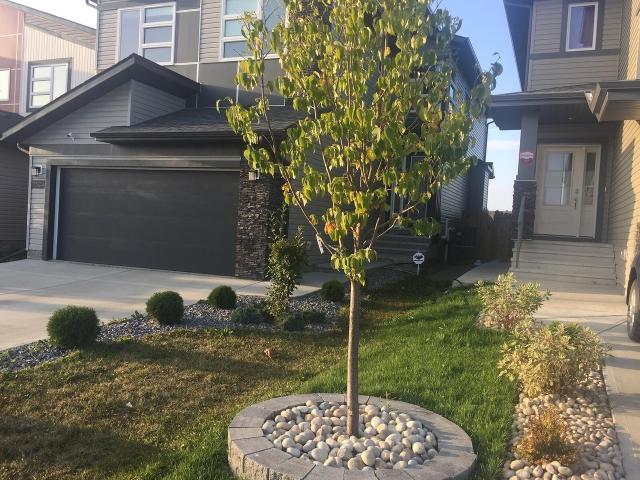 Apartment for rent in Crystallina Nera East, Edmonton