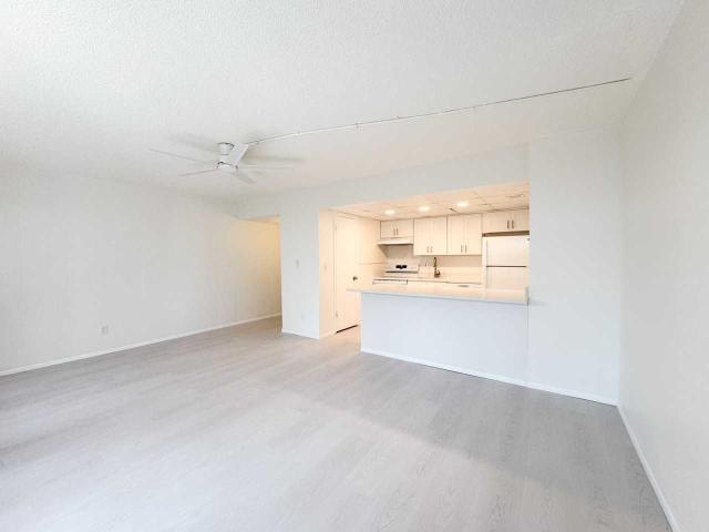 Apartment for rent in Clearwater