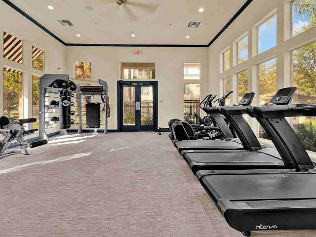 Apartment for rent in Alta, California