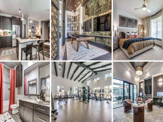 Apartment for rent in San Antonio, Bexar County