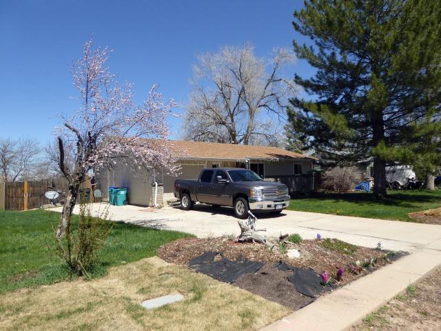 Apartment for rent in Fort Collins