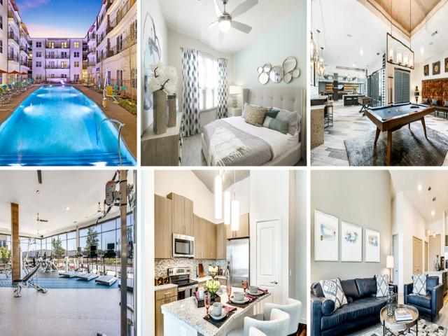 Apartment for rent in Dallas, Texas
