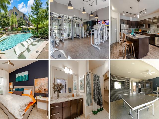Apartment for rent in Dallas, Texas