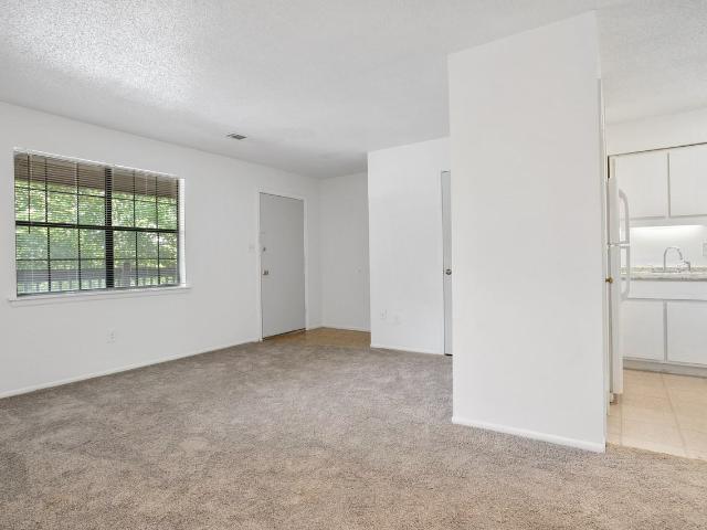 Apartment for rent in Greenville, South Carolina