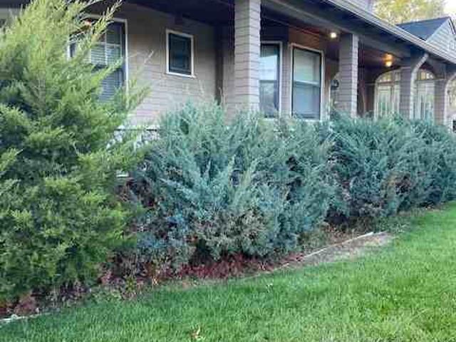 Apartment for rent in Colorado Springs, Colorado