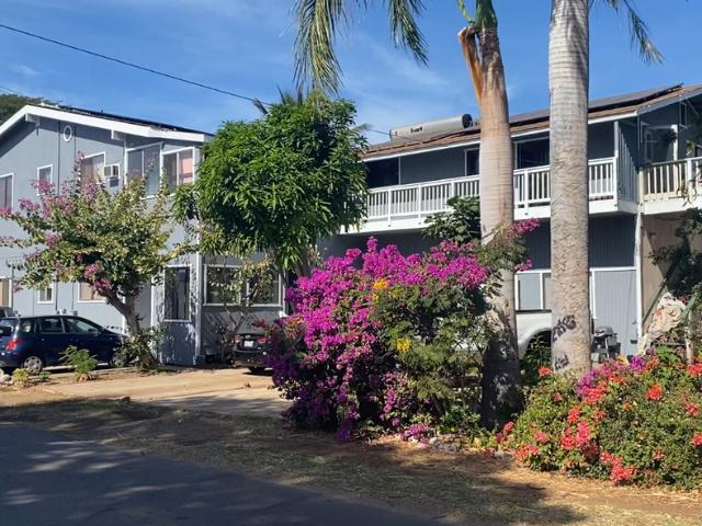 Apartment for rent in Kihei Apartment for rent in Kihei